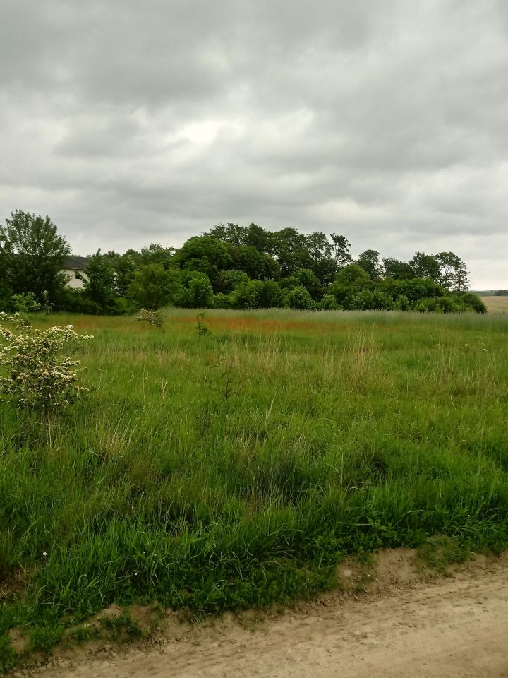 Działka rolno-budowlana Bukowina, ul. Ogrodowa. Zdjęcie 2