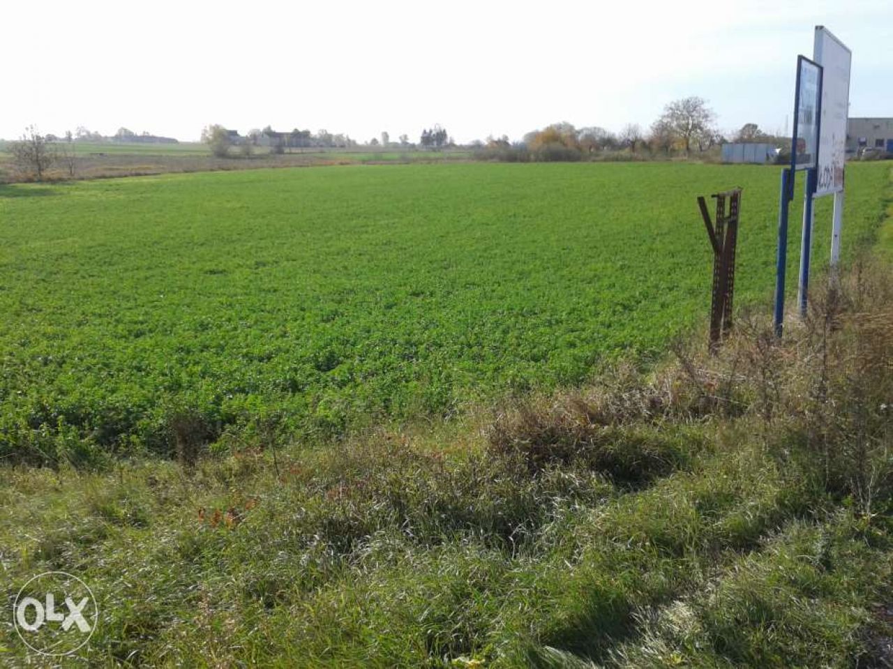 Działka rolna Grzywna. Zdjęcie 6