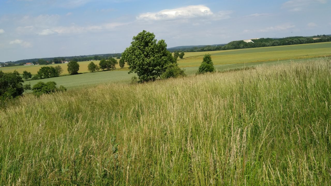 dom wolnostojący, 4 pokoje Zimnik, Zimnik. Zdjęcie 3