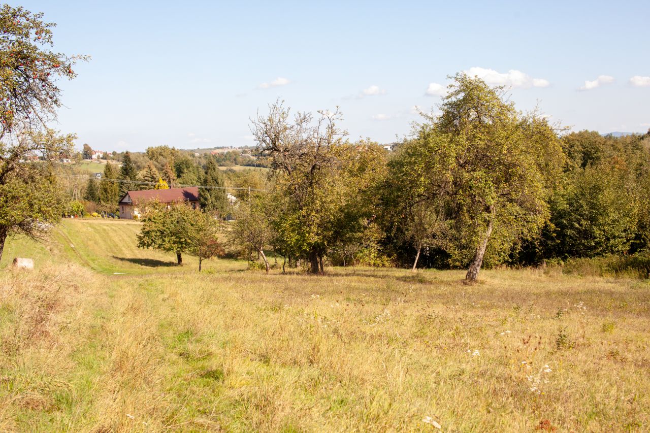 Działka rolno-budowlana Lewniowa. Zdjęcie 2