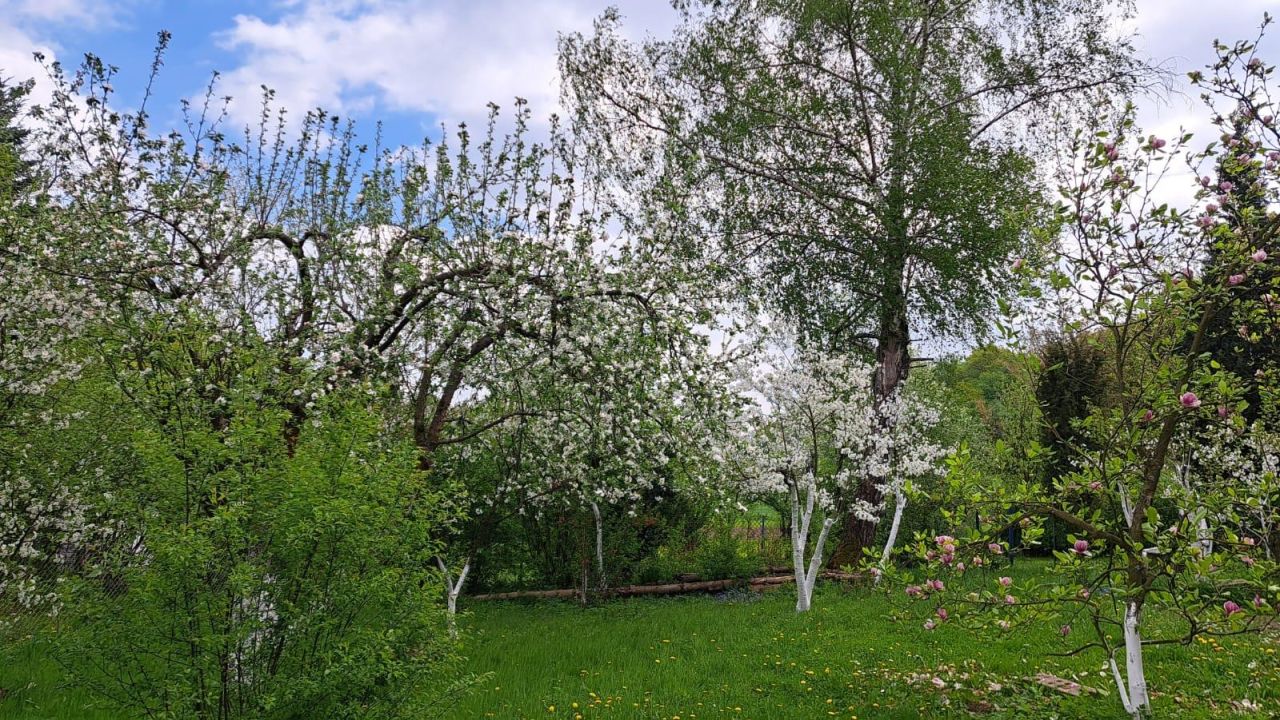 Działka rod Prusy, ul. Krajobrazowa. Zdjęcie 3