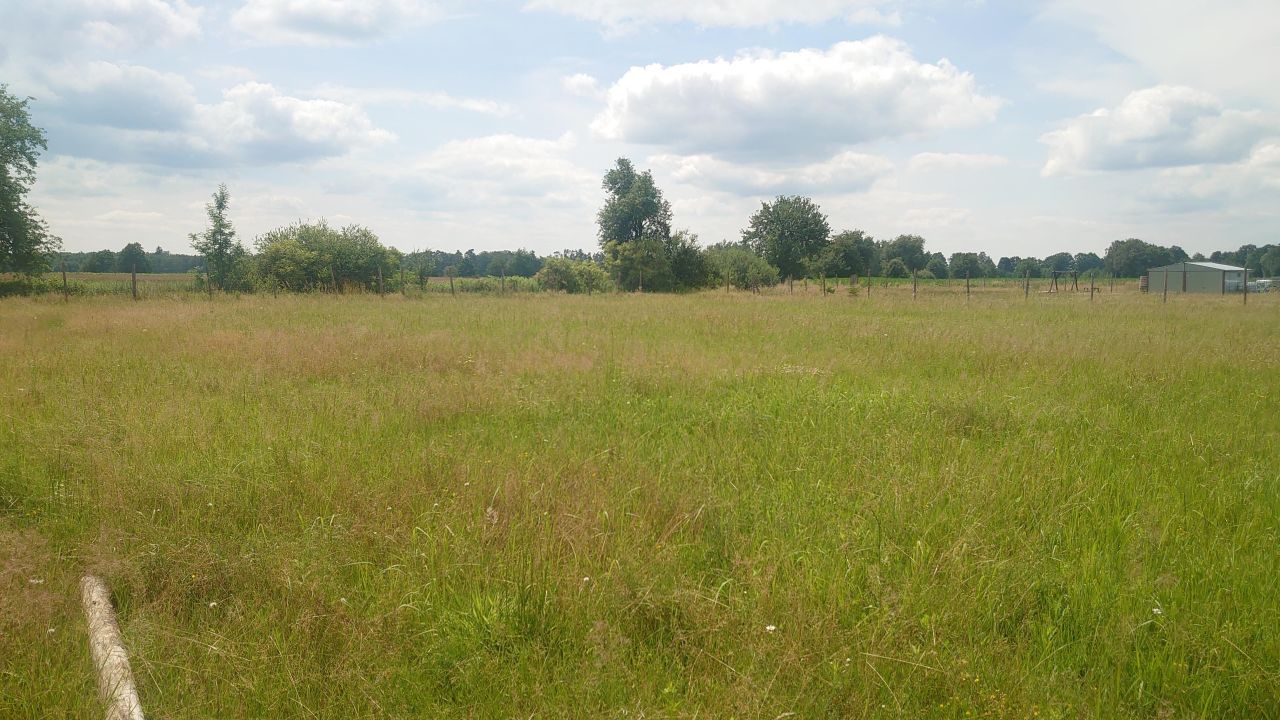 Działka budowlana Dębnik, ul. Modrzewiowa