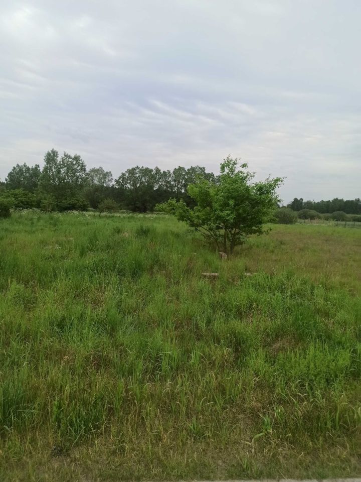 Działka budowlana Ryjewo, ul. Łąki. Zdjęcie 5