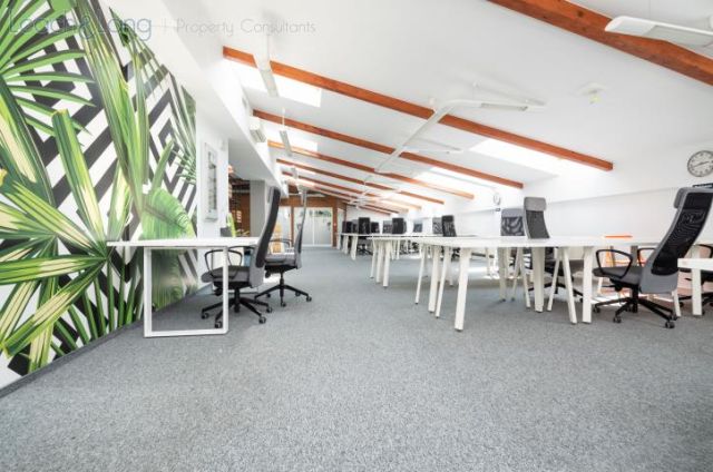 Lokal Kraków Stare Miasto, ul. Karmelicka. Zdjęcie 1