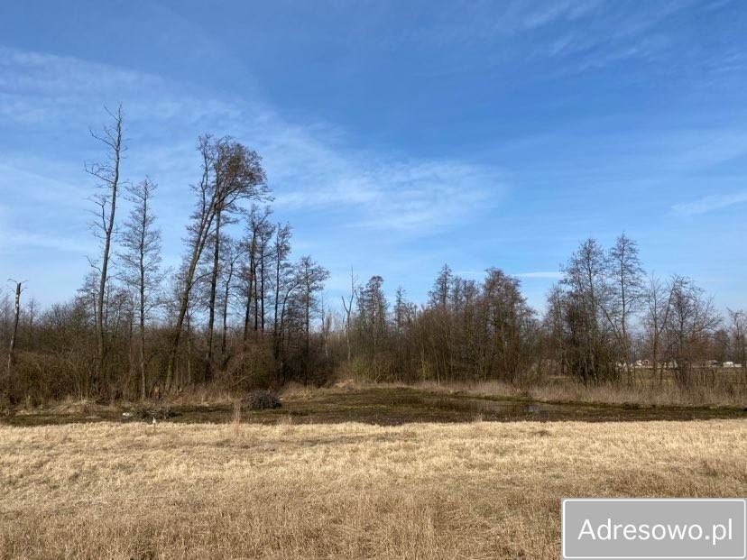 Działka rolna Strzegocin. Zdjęcie 2