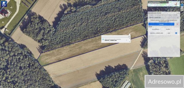 Działka rolna Beznatka. Zdjęcie 1