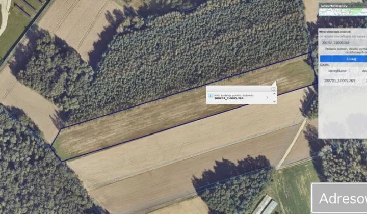 Działka rolna Beznatka