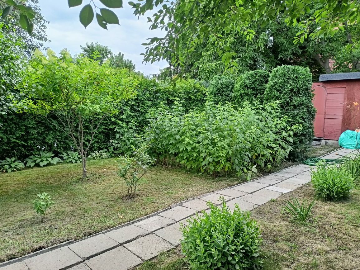 Działka rod Pabianice, ul. Orla