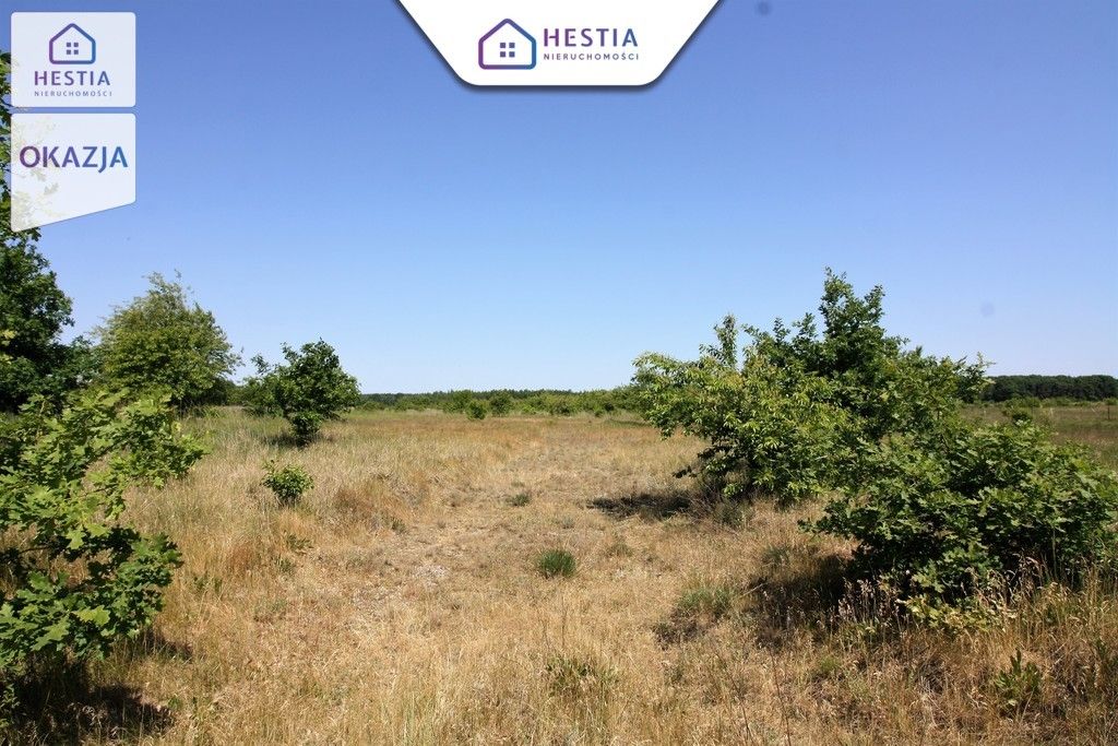 Działka rolna Wieńkowo. Zdjęcie 3