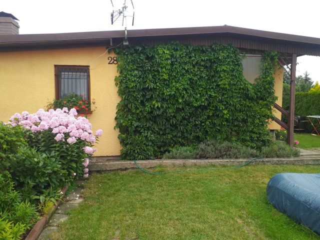 Działka rod Prądocin. Zdjęcie 1