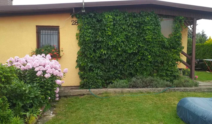 Działka rod Prądocin