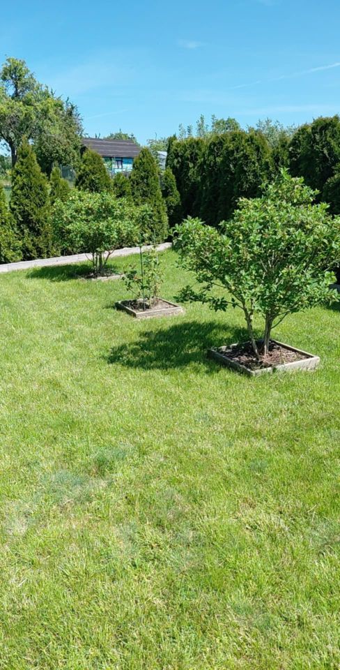 Działka rod Grochowiska. Zdjęcie 15