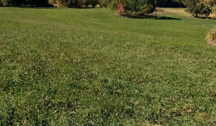 Działka rolna Leśnica