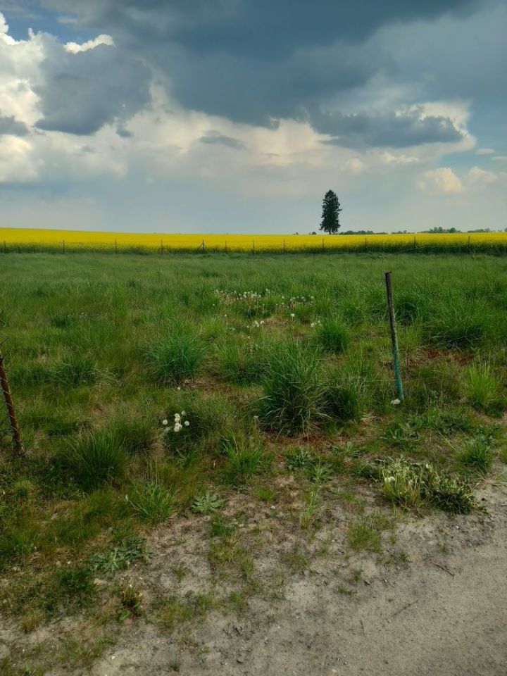 Działka budowlana Mościska. Zdjęcie 5