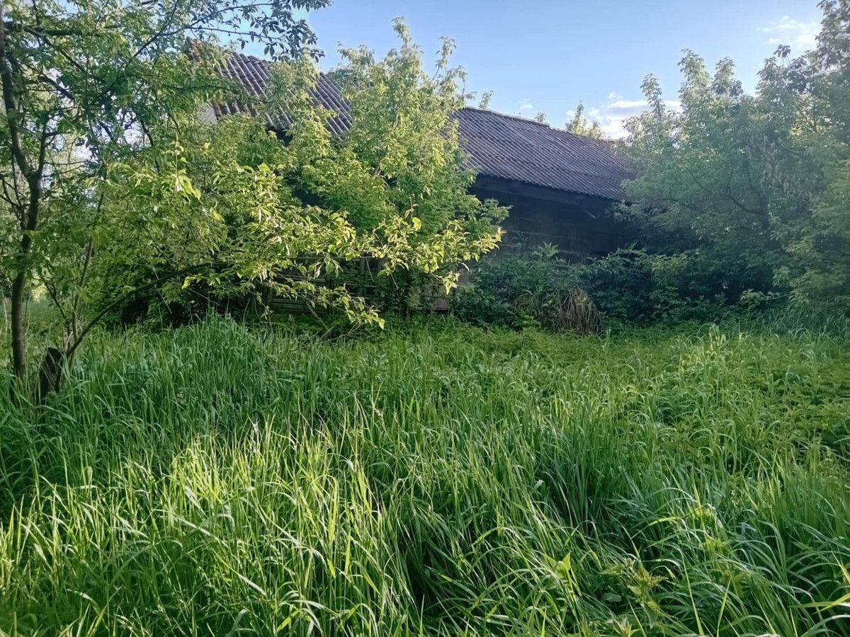 Działka rolno-budowlana Czarny Las-Kolonia. Zdjęcie 6