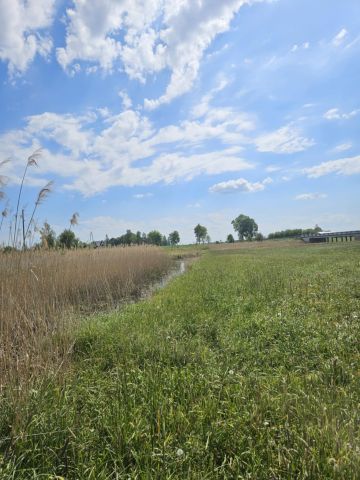 Działka rekreacyjna Gutków. Zdjęcie 1