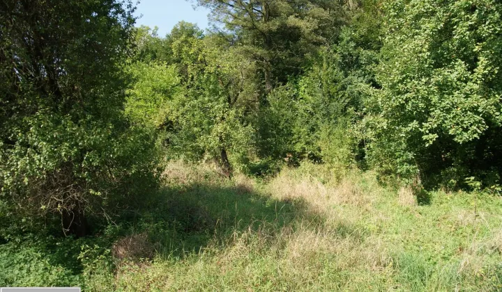 Działka budowlana Sucha Beskidzka, ul. Role