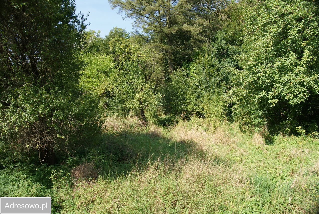 Działka budowlana Sucha Beskidzka, ul. Role