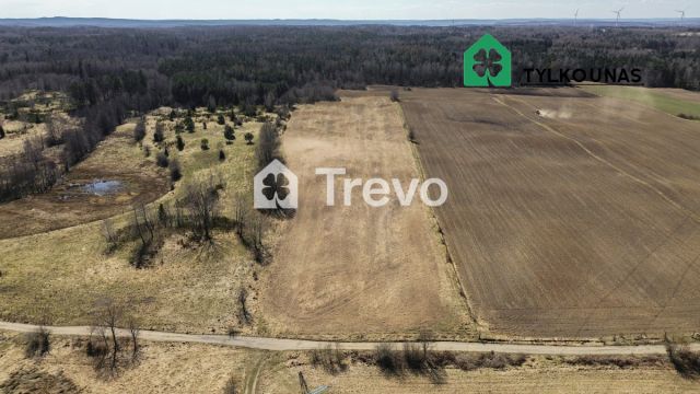 Działka siedliskowa Chrzanowo. Zdjęcie 2