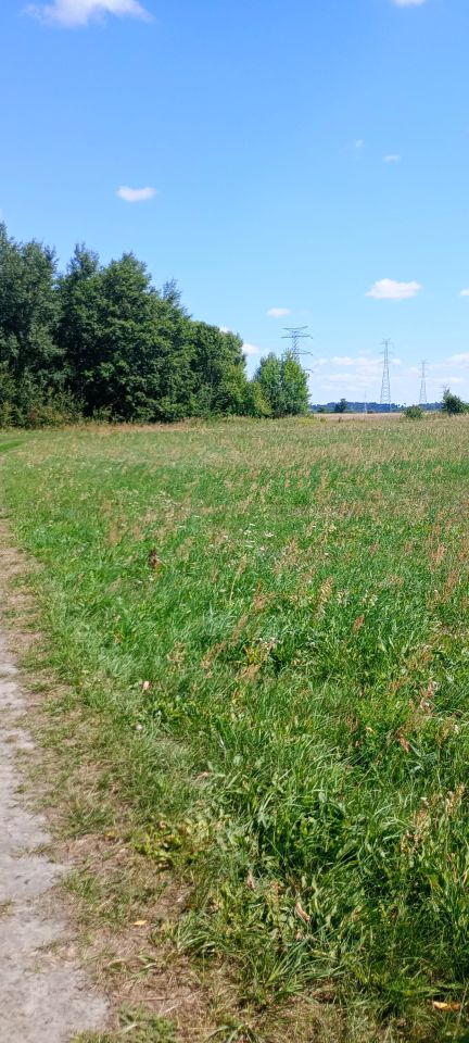 Działka inna Bystrzyca. Zdjęcie 1
