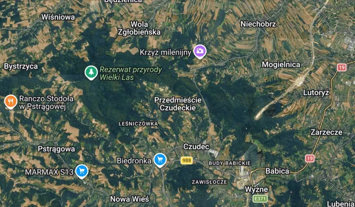 Działka leśna Przedmieście Czudeckie