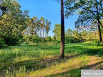 Działka budowlana Szprotawa, ul. Marcina Kasprzaka. Zdjęcie 2