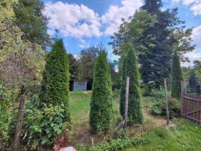 Działka rekreacyjna Ostrowiec Świętokrzyski, ul. Stefana Żeromskiego. Zdjęcie 5