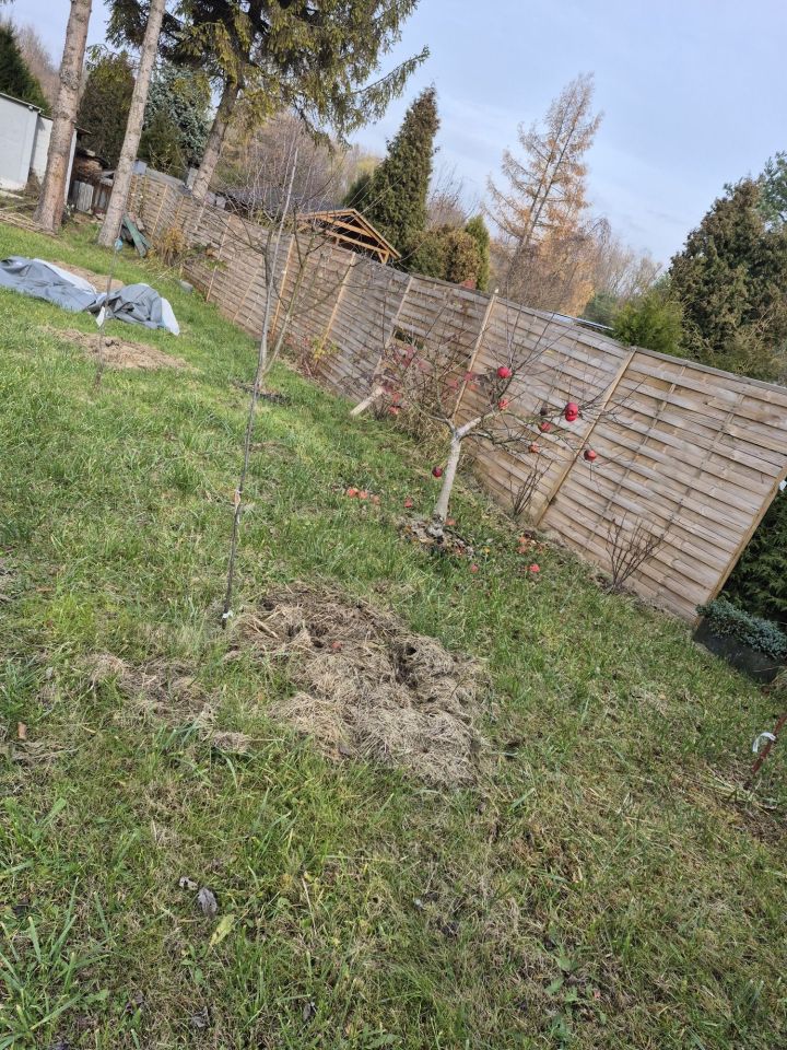 Działka rod Bytom. Zdjęcie 3