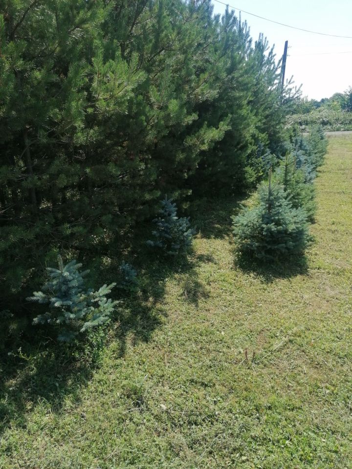 Działka budowlana Lubiąż. Zdjęcie 3