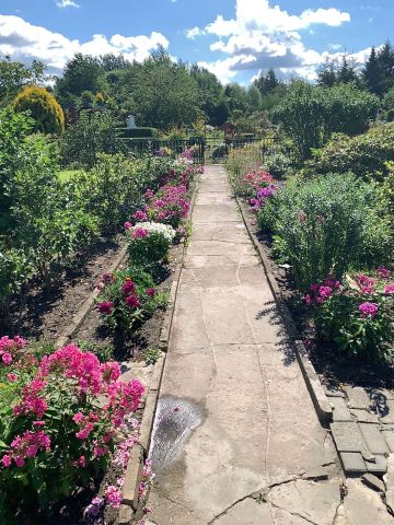 Działka rod Tarnowskie Góry Bobrowniki, ul. Powstańców Śląskich. Zdjęcie 1