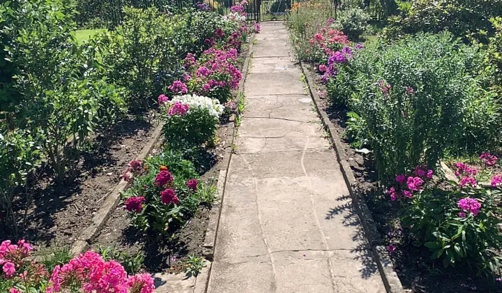 Działka rod Tarnowskie Góry Bobrowniki, ul. Powstańców Śląskich