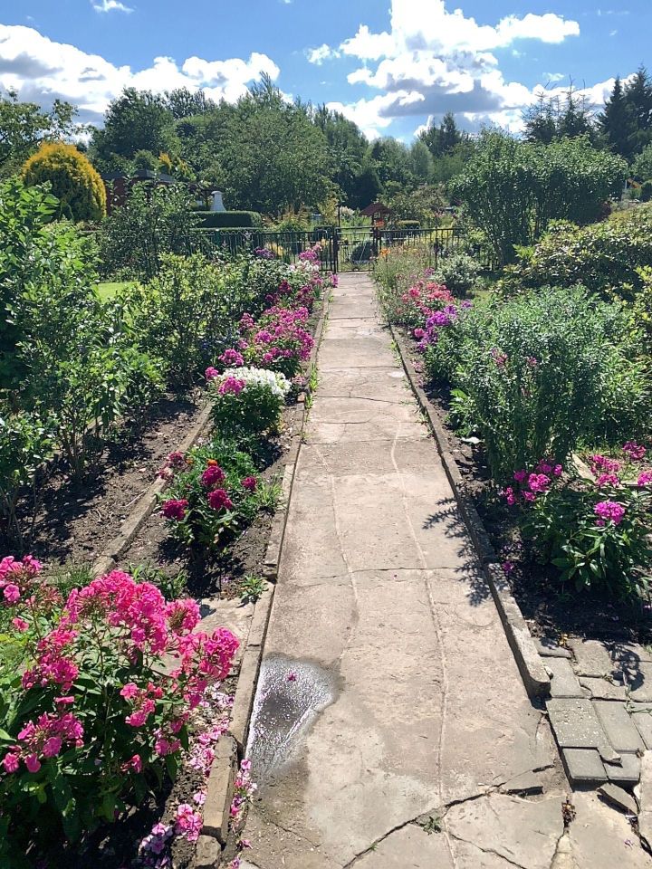 Działka rod Tarnowskie Góry Bobrowniki, ul. Powstańców Śląskich. Zdjęcie 1