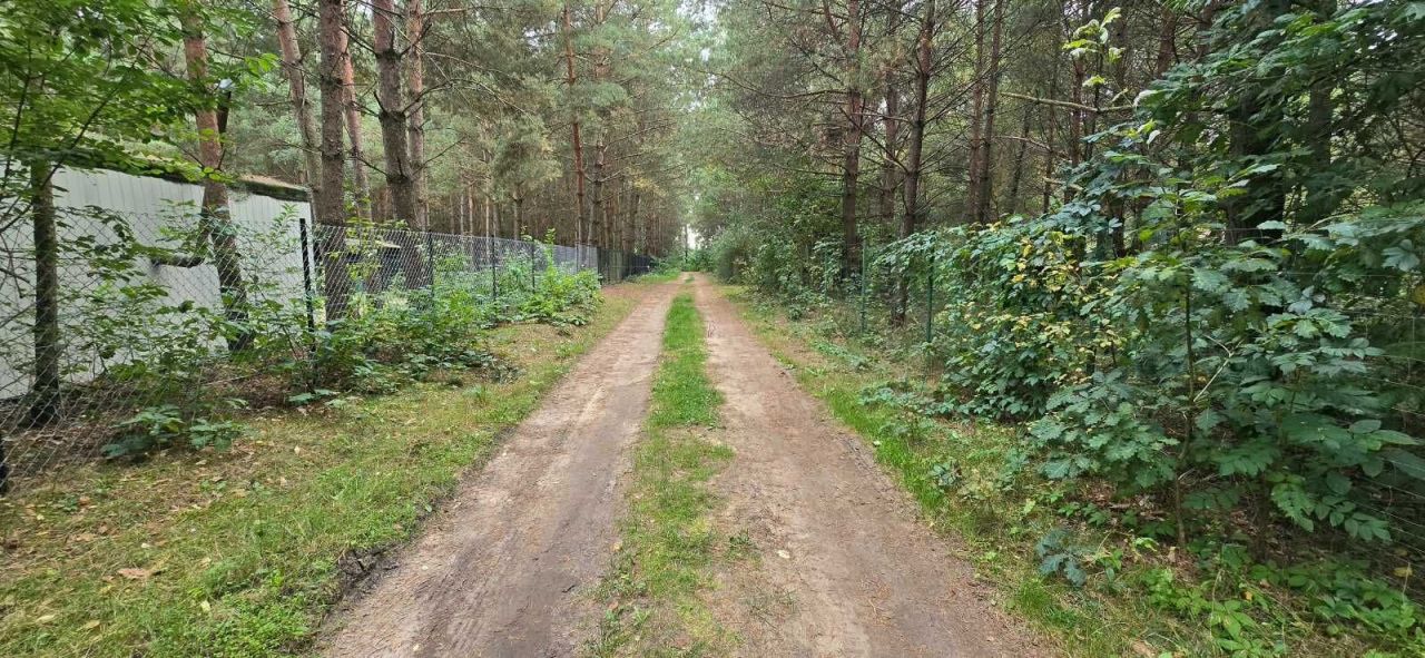 Działka budowlana Ciche. Zdjęcie 6