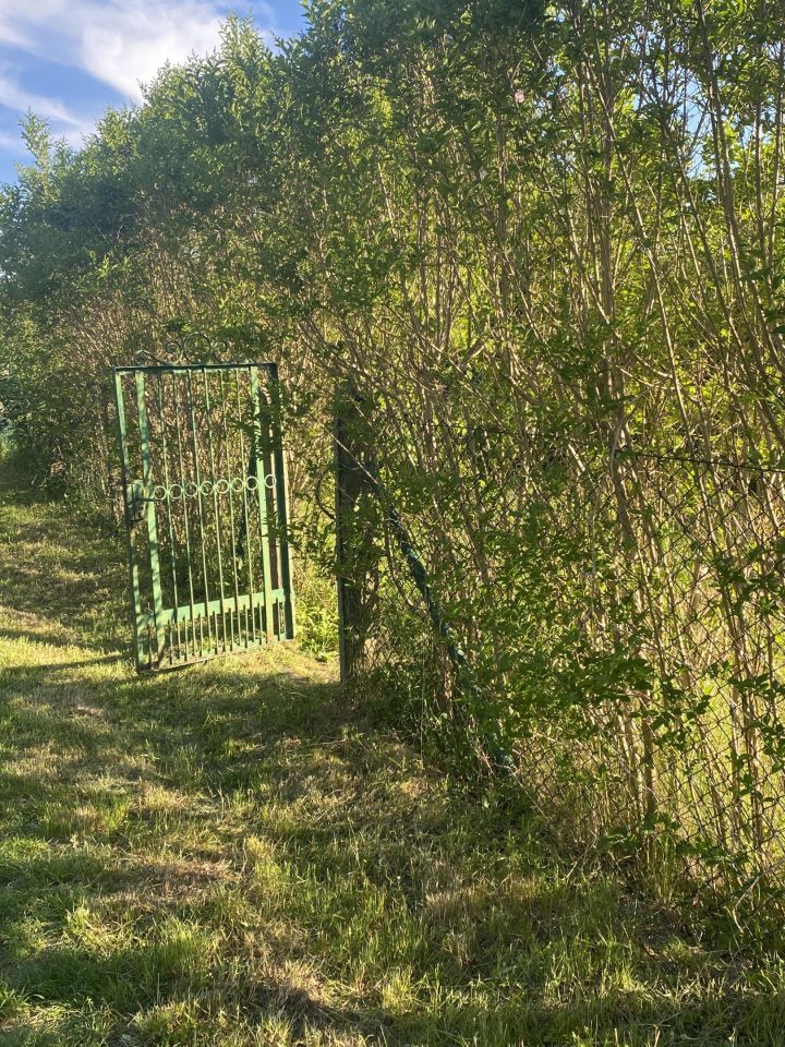 Działka rod Gdynia Mały Kack, ul. Grodnieńska. Zdjęcie 35