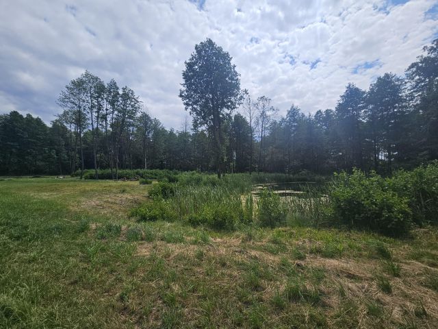 Działka rolno-budowlana Żałe. Zdjęcie 5