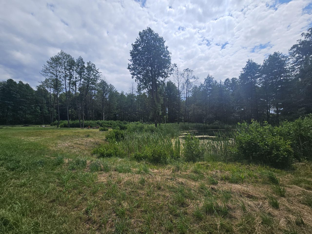 Działka rolno-budowlana Żałe. Zdjęcie 5