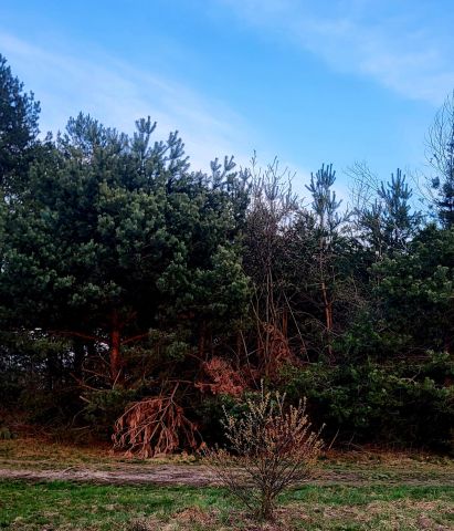 Działka budowlana Bojanów, ul. Rzeszowska. Zdjęcie 5