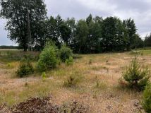 Działka budowlana Łąkie, Łąkie. Zdjęcie 4