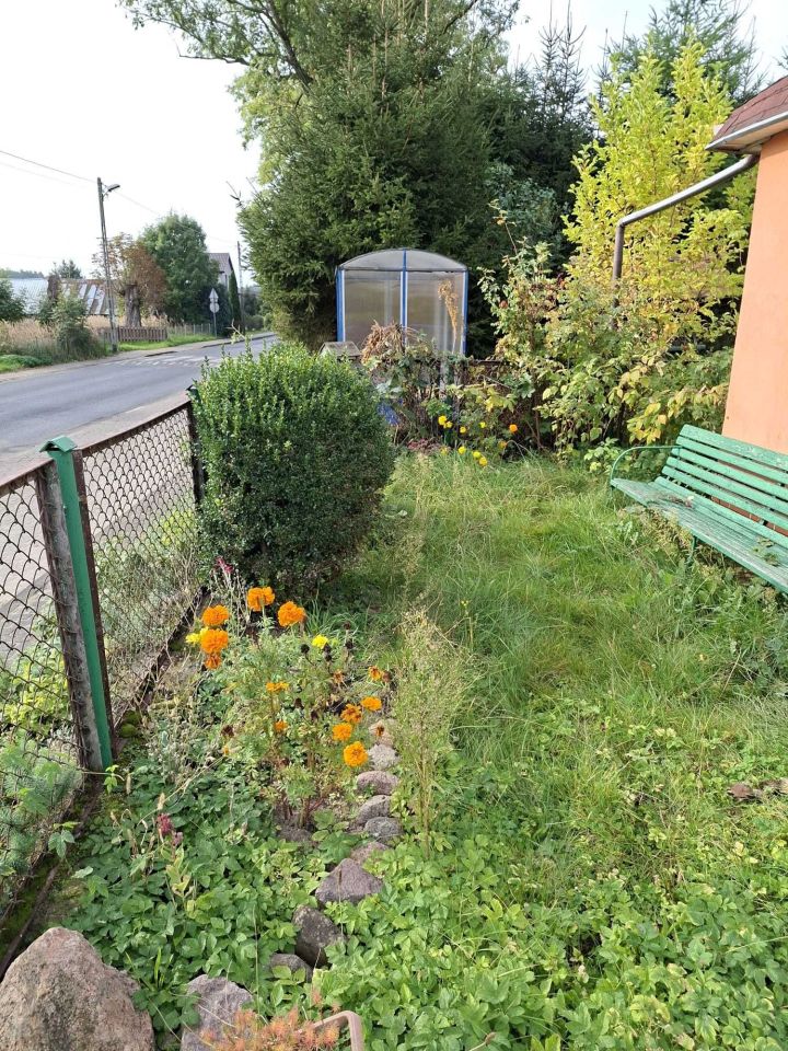 Działka inwestycyjna Upadły. Zdjęcie 5