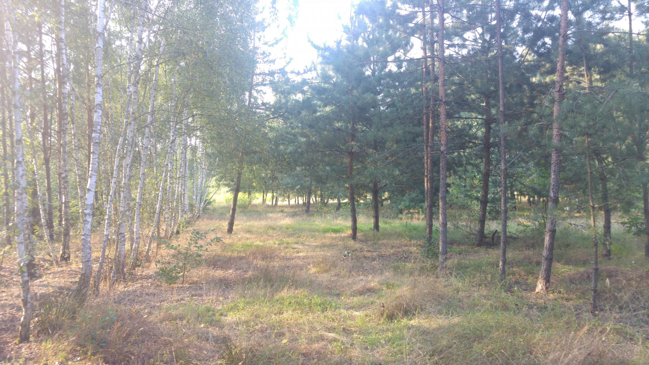 Działka budowlana Lipiny, ul. Bankowa. Zdjęcie 2