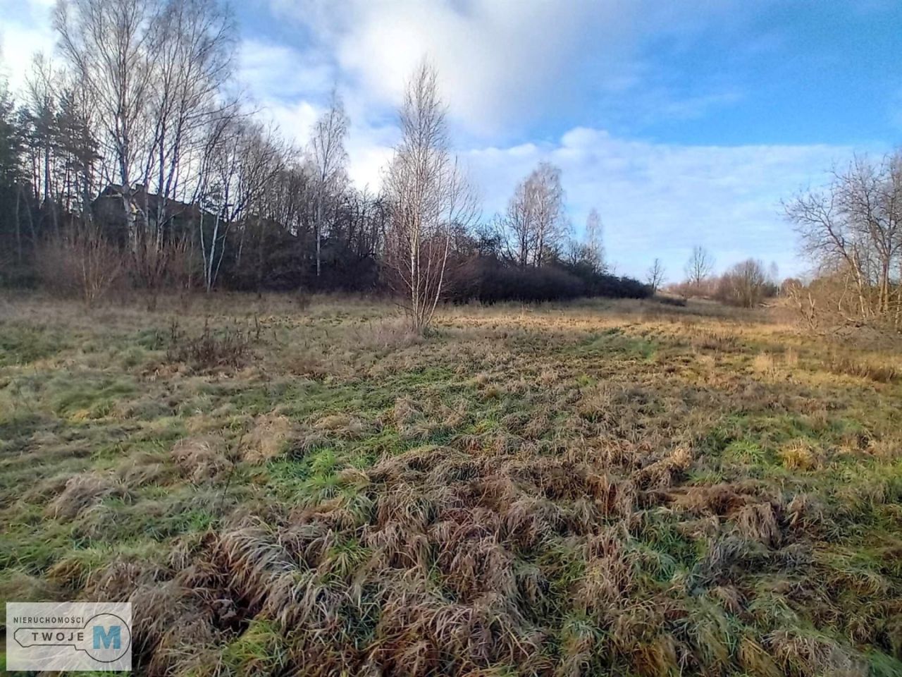 Działka inwestycyjna Daleszyce. Zdjęcie 9