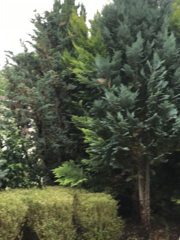 Działka rekreacyjna Toruń Kluczyki , ul. Przy Grobli. Zdjęcie 2