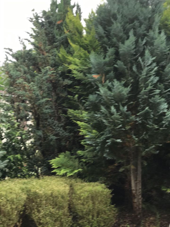 Działka rekreacyjna Toruń Kluczyki , ul. Przy Grobli. Zdjęcie 2