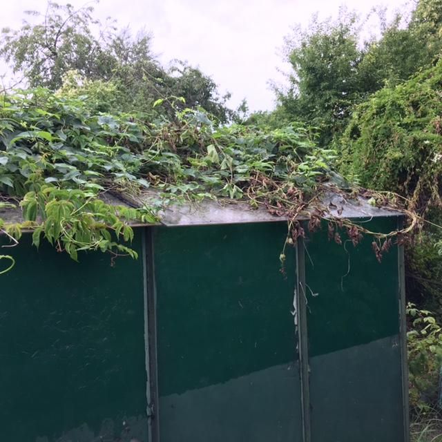 Działka rod Wrocław Stare Miasto, ul. Góralska. Zdjęcie 18