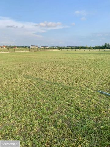 Działka siedliskowa Krzeptów, ul. Gajowa. Zdjęcie 1