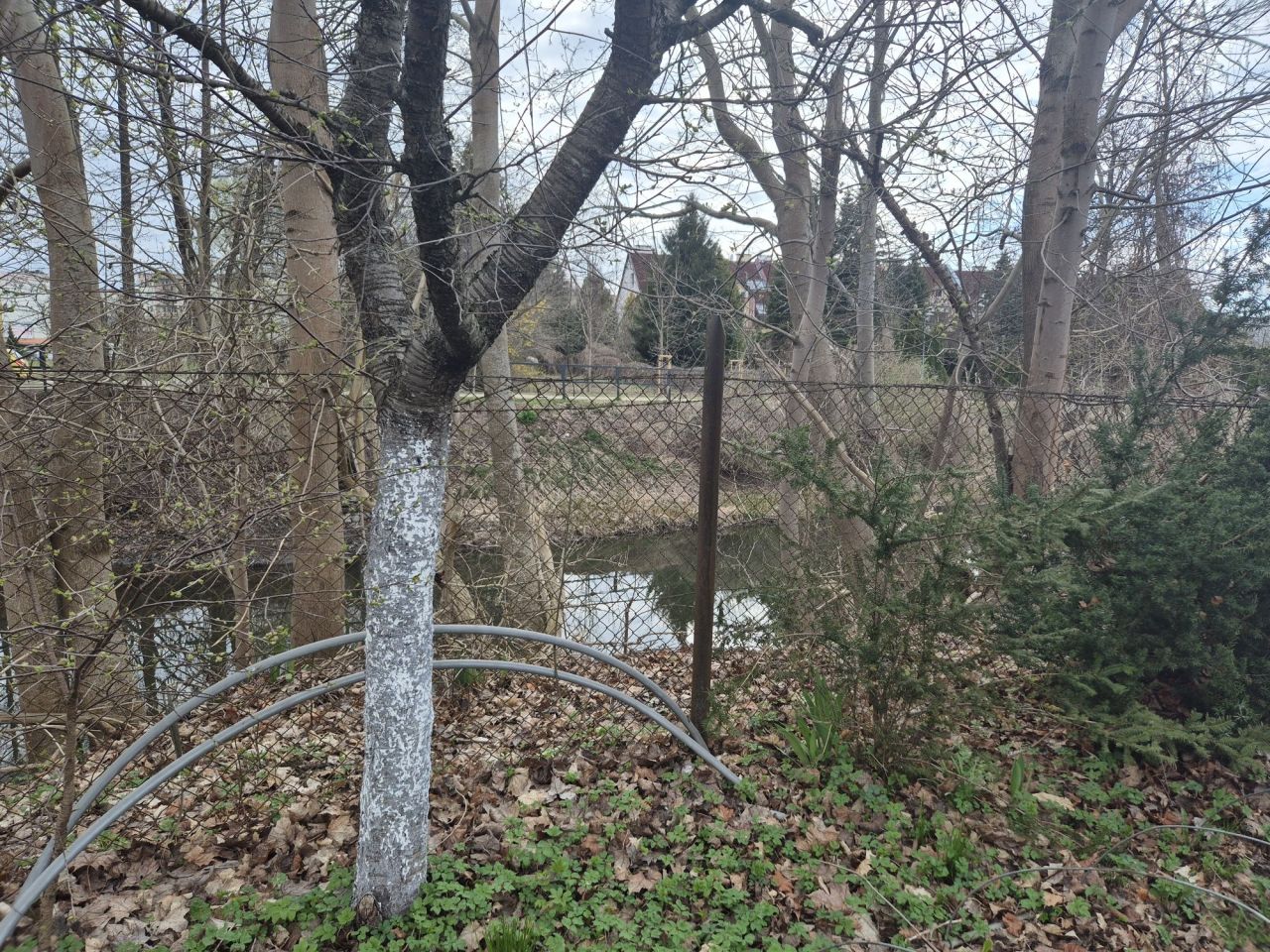 Działka rod Olsztyn, ul. Michała Kajki. Zdjęcie 2