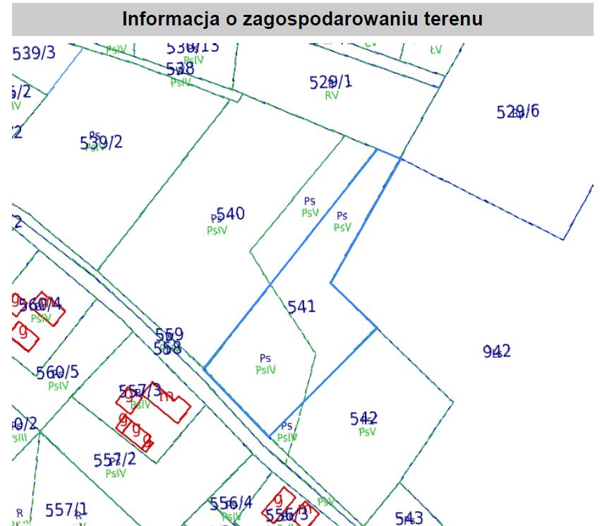 Działka rolna Dzietrzychowice. Zdjęcie 4