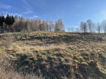 Działka siedliskowa Ptaszków. Zdjęcie 2