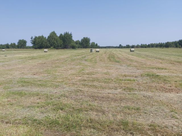 Działka inwestycyjna Broniów. Zdjęcie 9