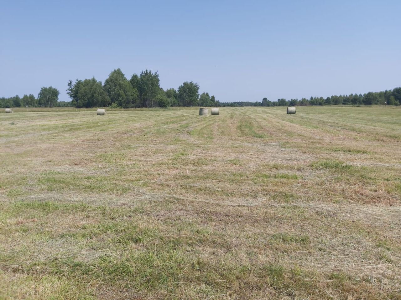 Działka inwestycyjna Broniów. Zdjęcie 9